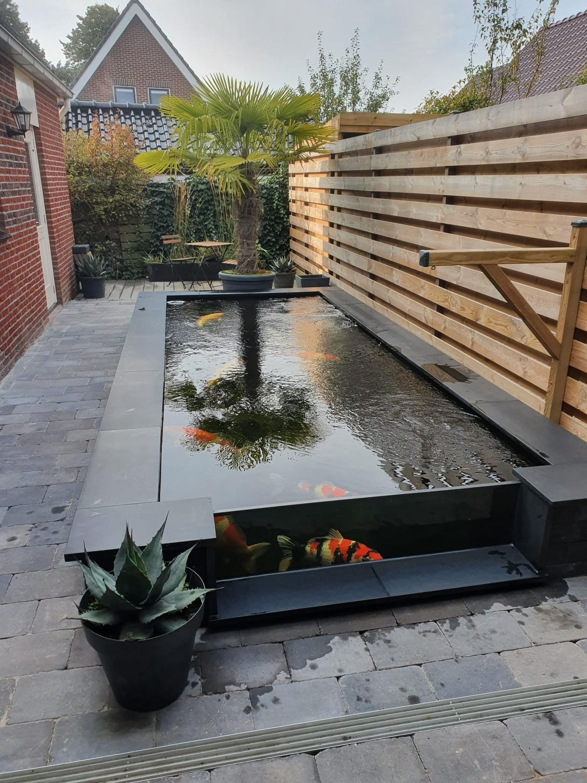Vijverbouw Zevenhuizen, foto 4
