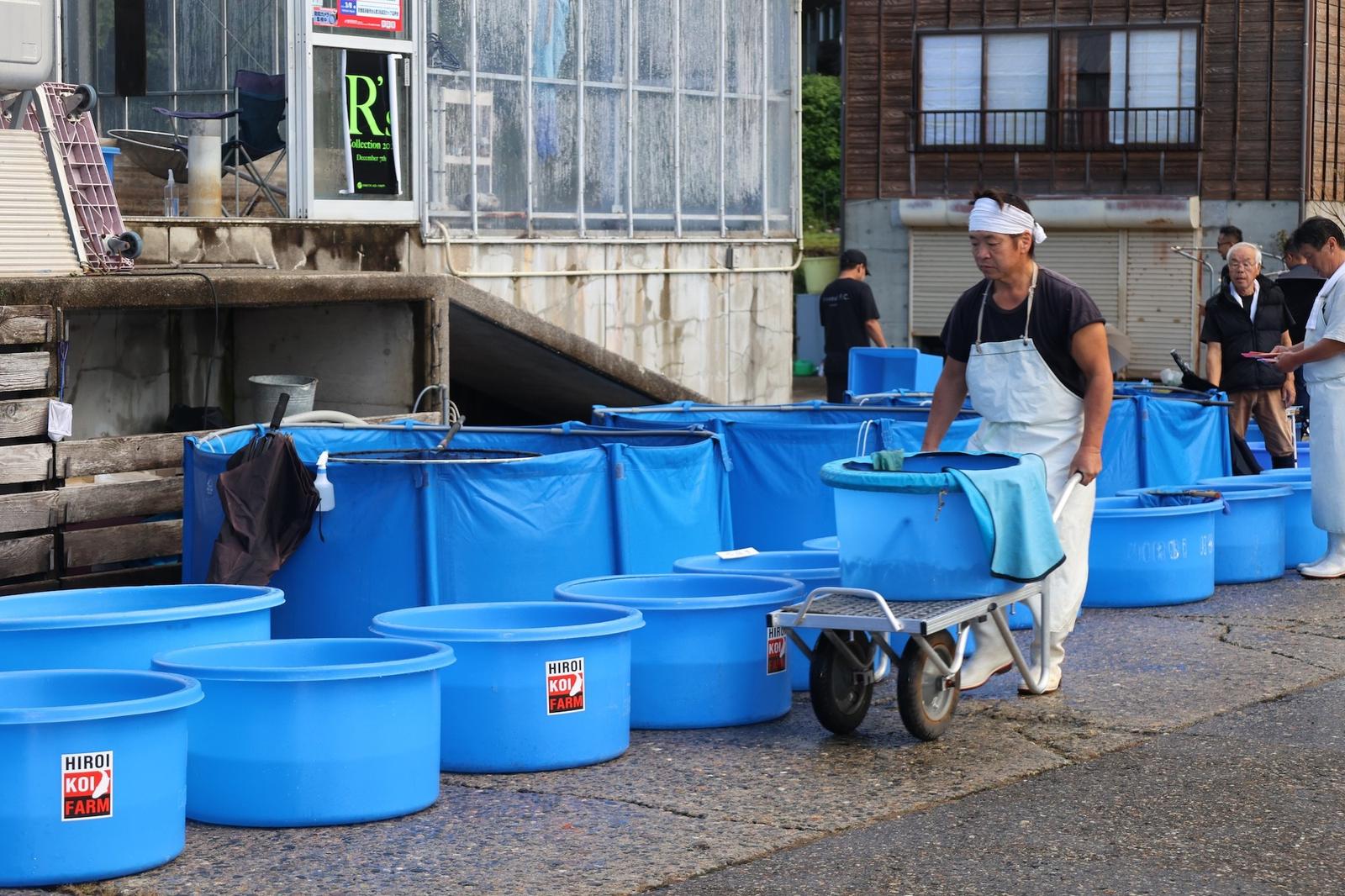 Blauwe transportbakken voor een Japanse kwekerij