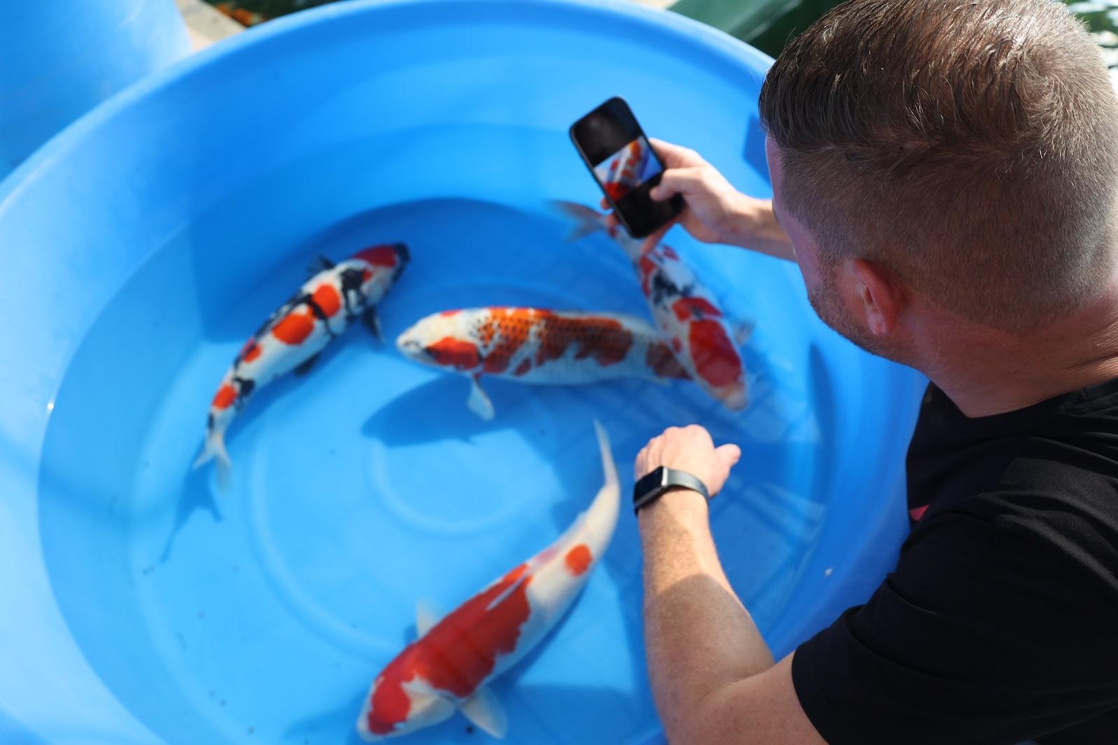 Arjan bekijkt een koi in een blauwe bak in Japan