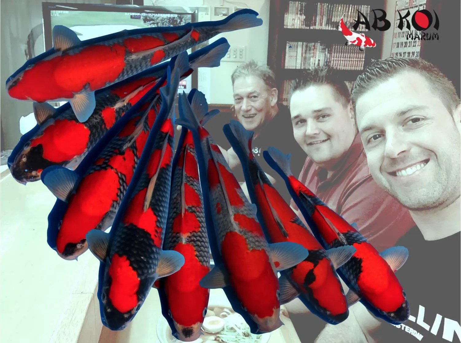 Hebben jullie alleen Koi voor de dikke portemonnee?, foto 3