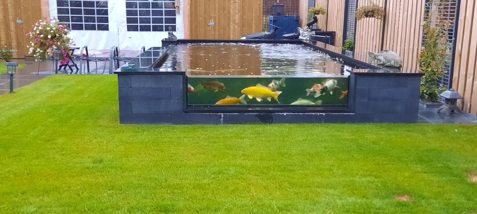 Geen sprookje, maar staal: zo bouwen wij jouw koivijver; snel, duurzaam en binnen het budget!, foto 9