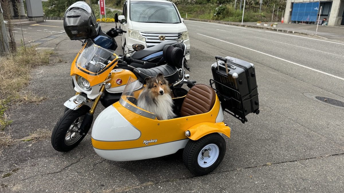 Von Ginrin Goshiki bis zu teuren Bierchen: ein Tag voller Fänge und Freundschaft in Japan, foto 6