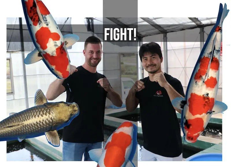 Your Azukari fish just came up. 74 cm now, it’s grown much bigger!, foto 3