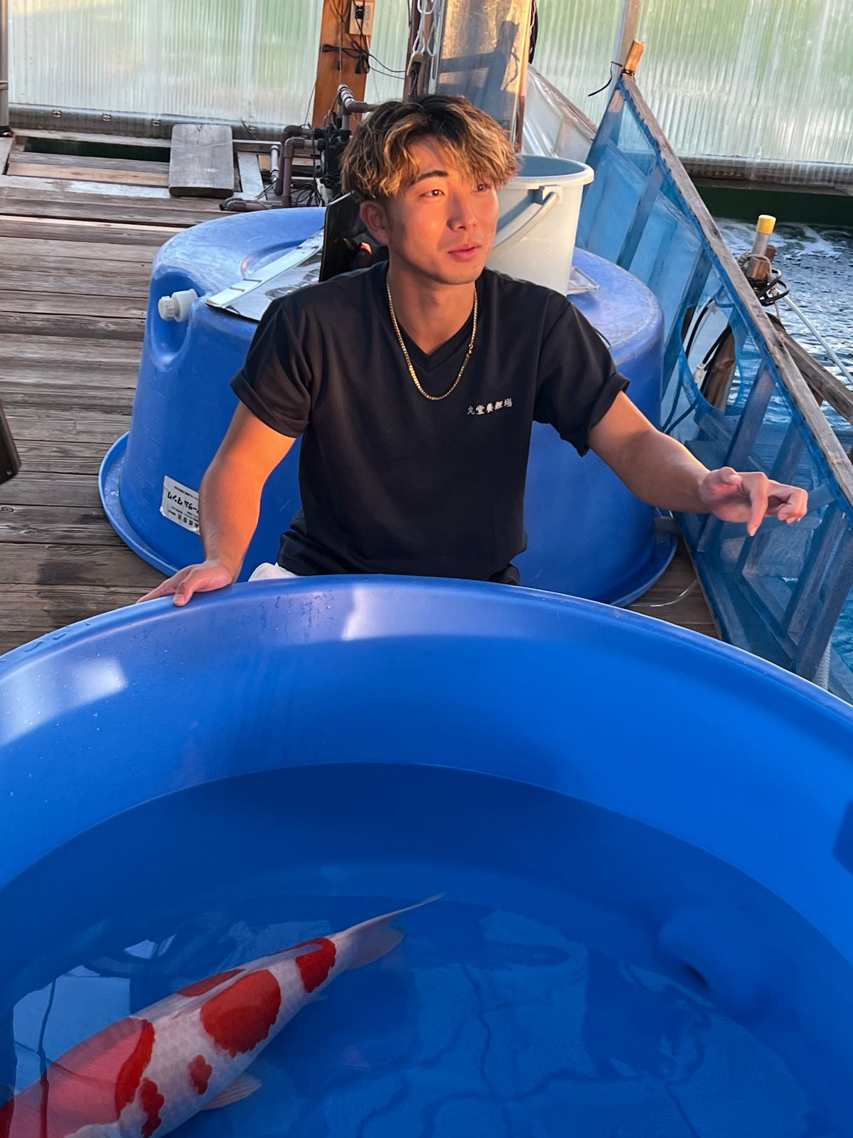 Het Spiekbriefje van Nagoshi: Een Zenuwslopende Selectie, foto 6