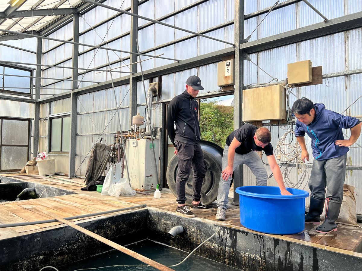 3 ikeages bij Conias, Shinoda en Kanezo en een droomvis bij Miyatora, foto 13