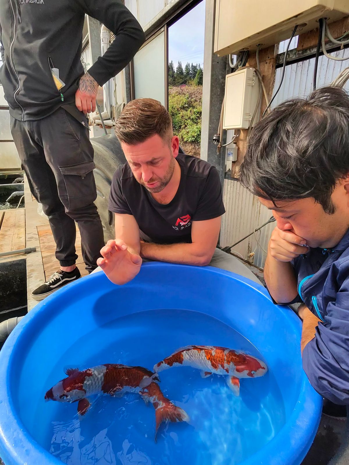 3 ikeages bij Conias, Shinoda en Kanezo en een droomvis bij Miyatora, foto 10