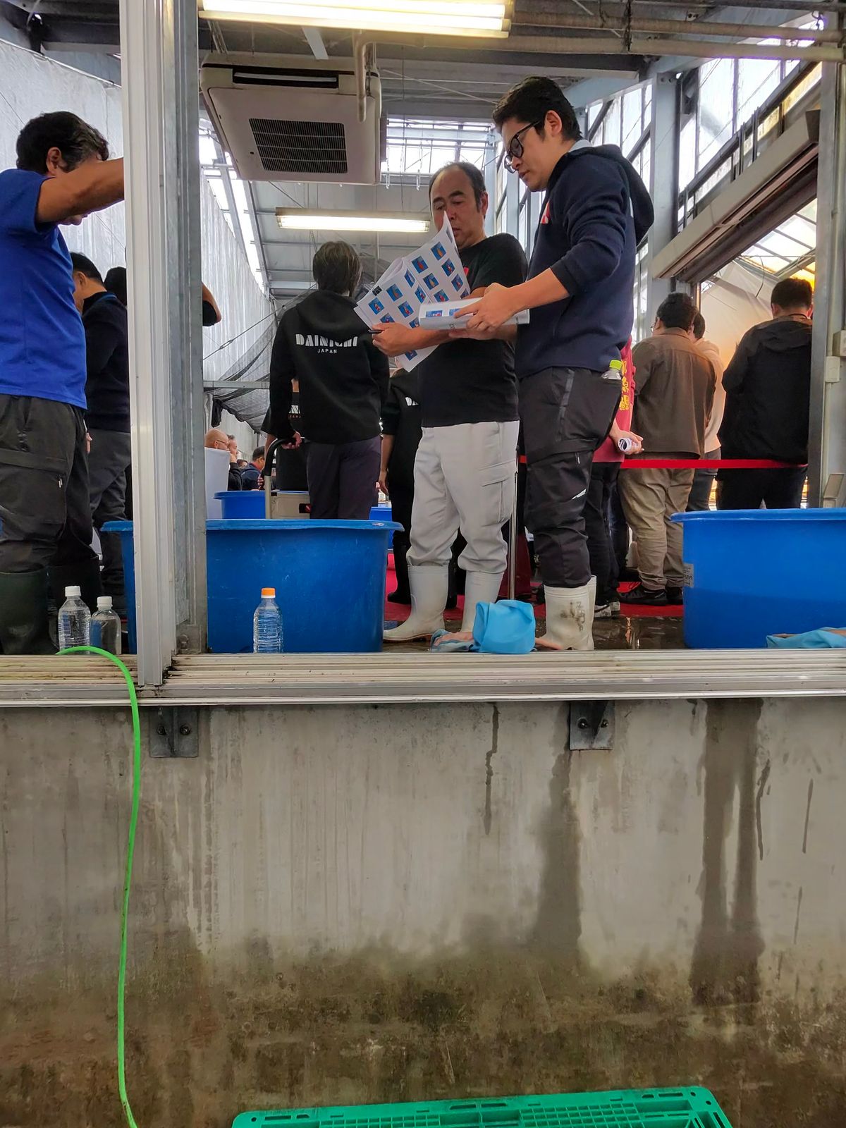 Adrenaline in de arena: het succes van de 99e Dainichi veiling, foto 3