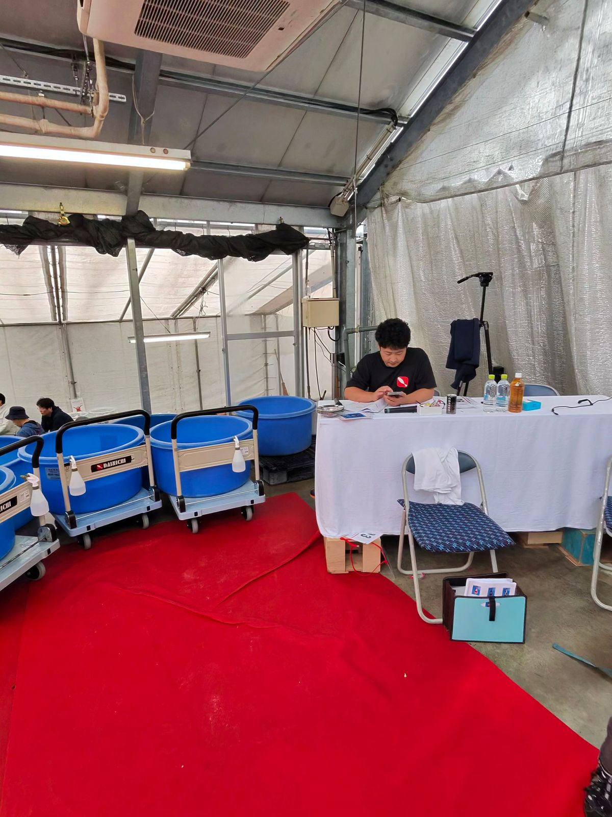 Adrenaline in de arena: het succes van de 99e Dainichi veiling, foto 6