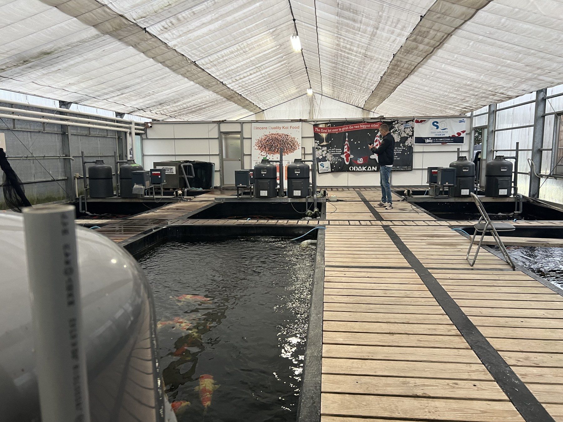 Van koffiebad tot koiwater; de reisdag van onze Koihunt 2025, foto 4