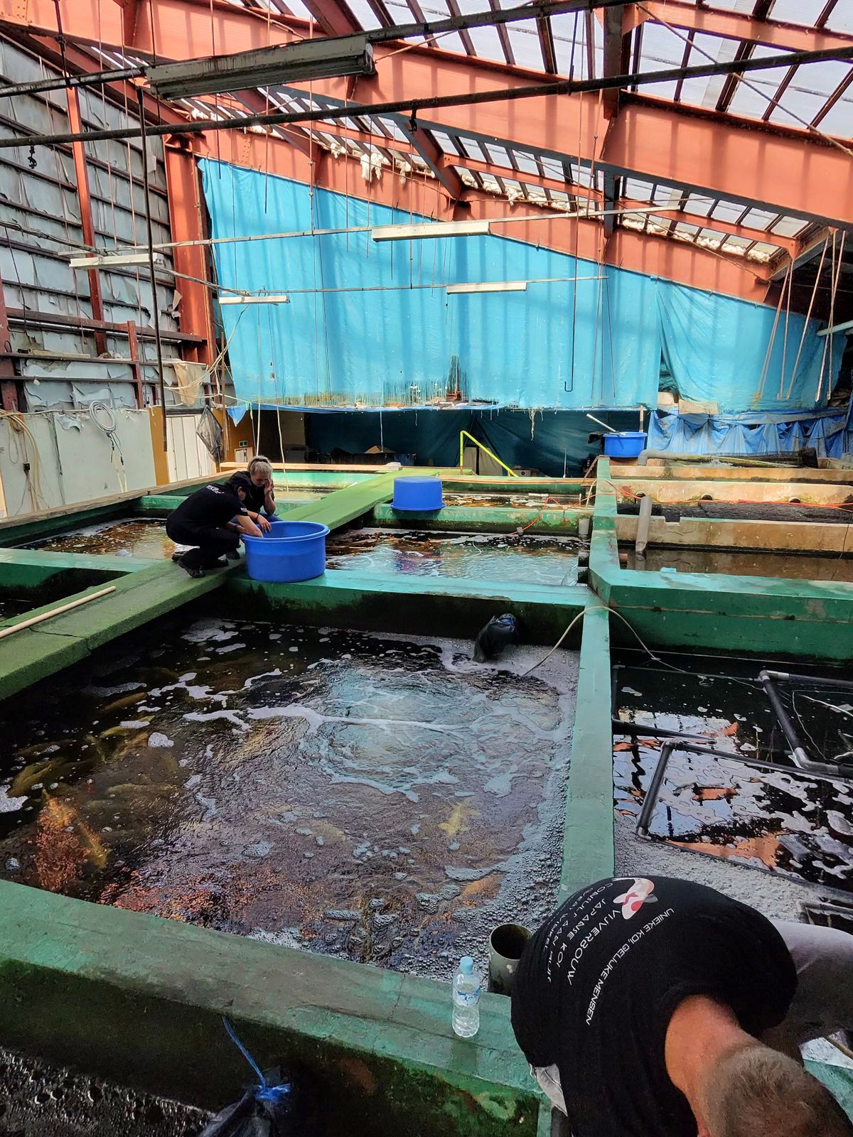 Drakenjacht in de bergen, shortbody Shusui en whisky met stroopwafels, foto 38