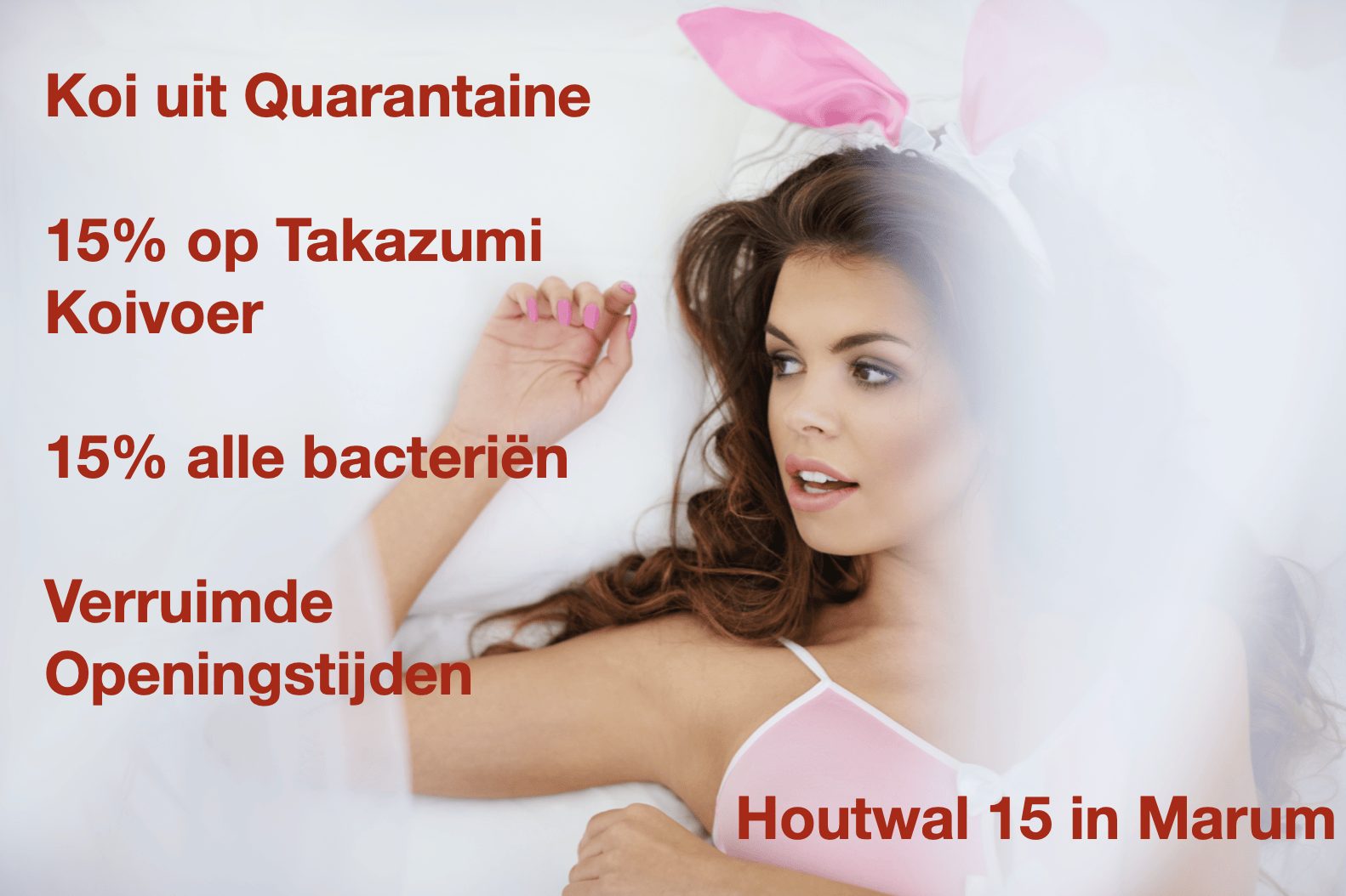 Nieuwe Koi, 15% korting en verruimde openingstijden in Marum, foto 11