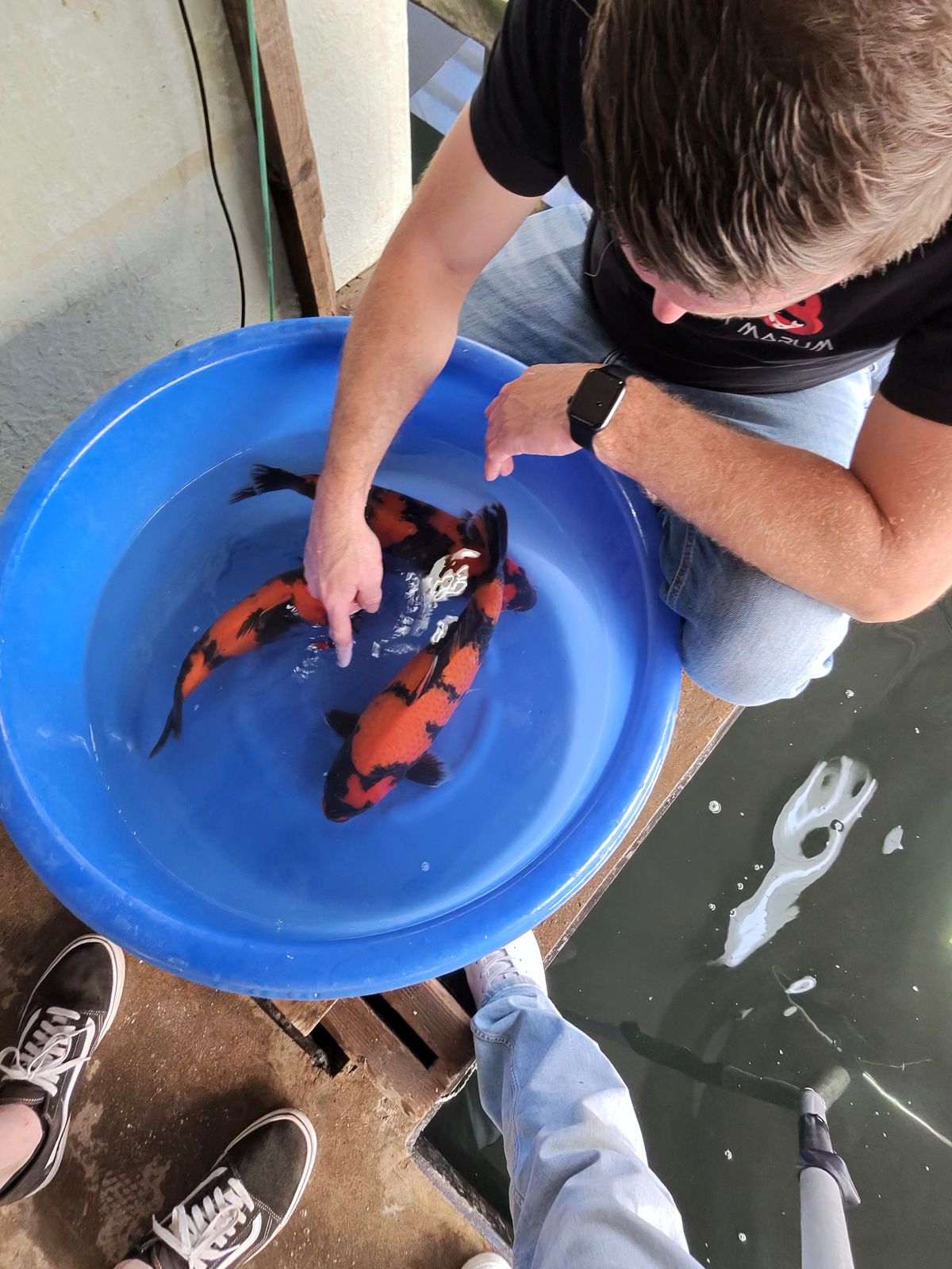 Geduld is een schone zaak: Koihunt dag 3, foto 35