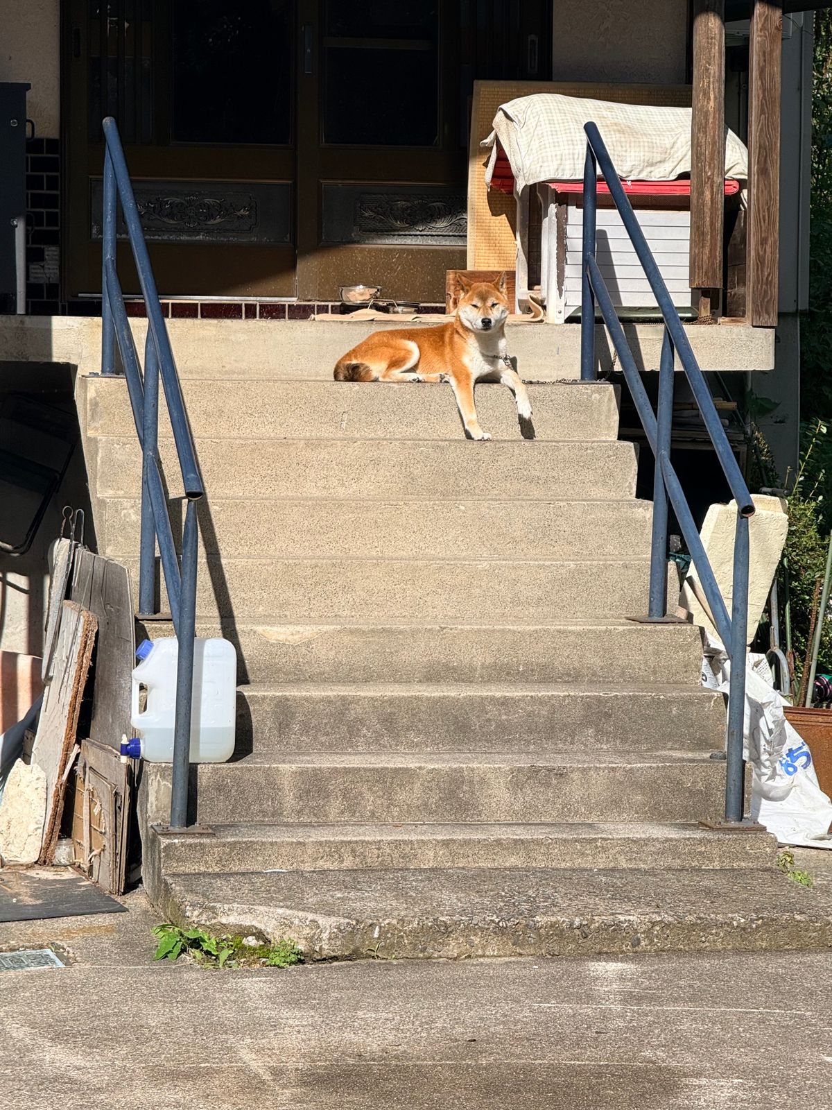 Geduld is een schone zaak: Koihunt dag 3, foto 9