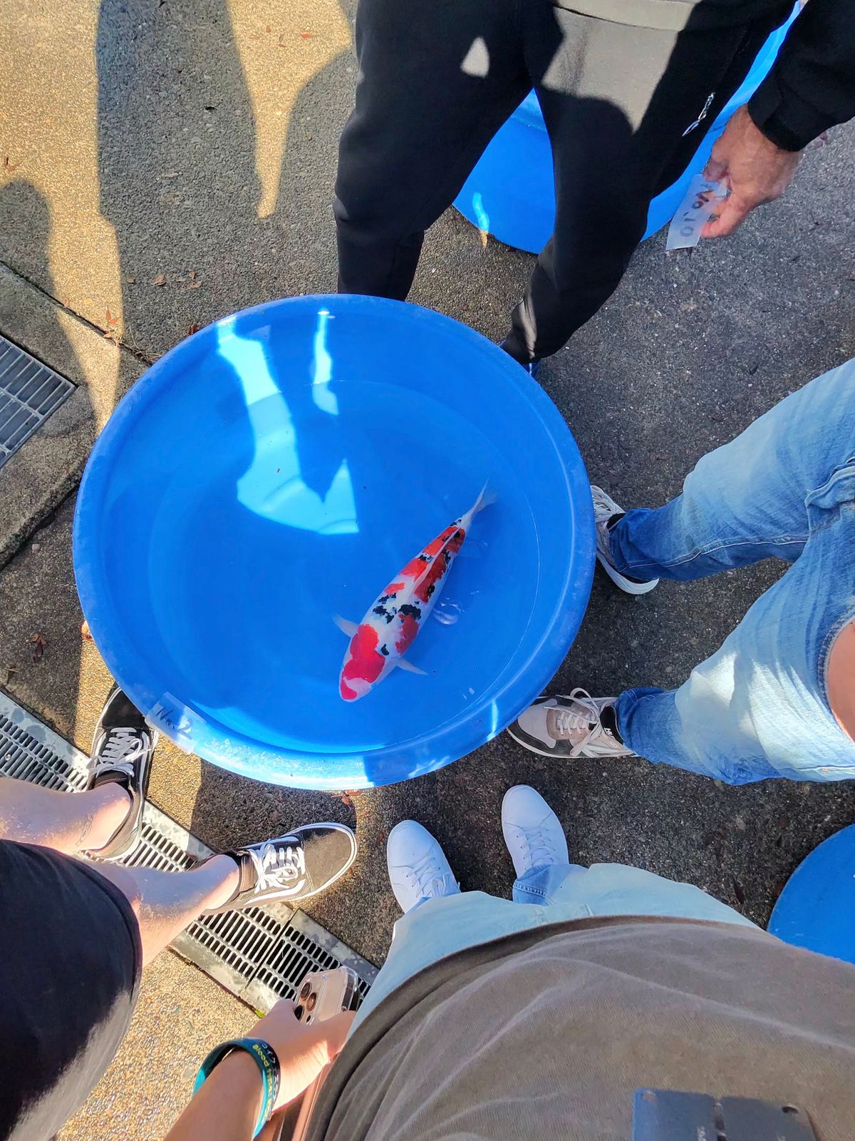 Stralende zon en de eerste vissen in het net, foto 5