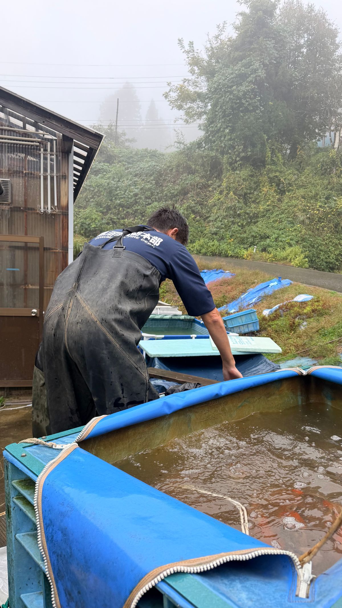 Mountain Games: Hoshikin Kohaku, gouden greep mislukt en vraag/aanbod, foto 15