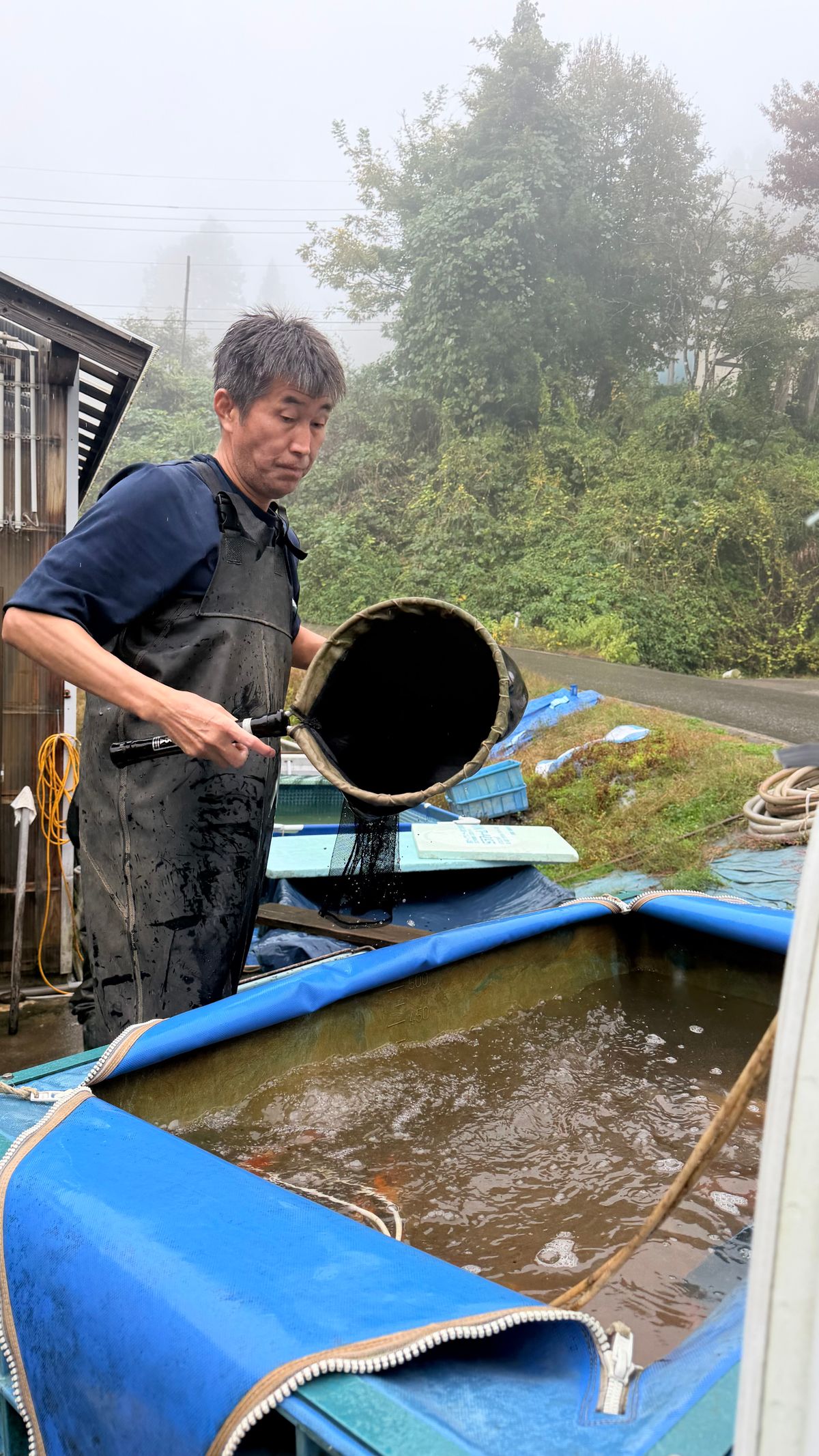 Mountain Games: Hoshikin Kohaku, gouden greep mislukt en vraag/aanbod, foto 16
