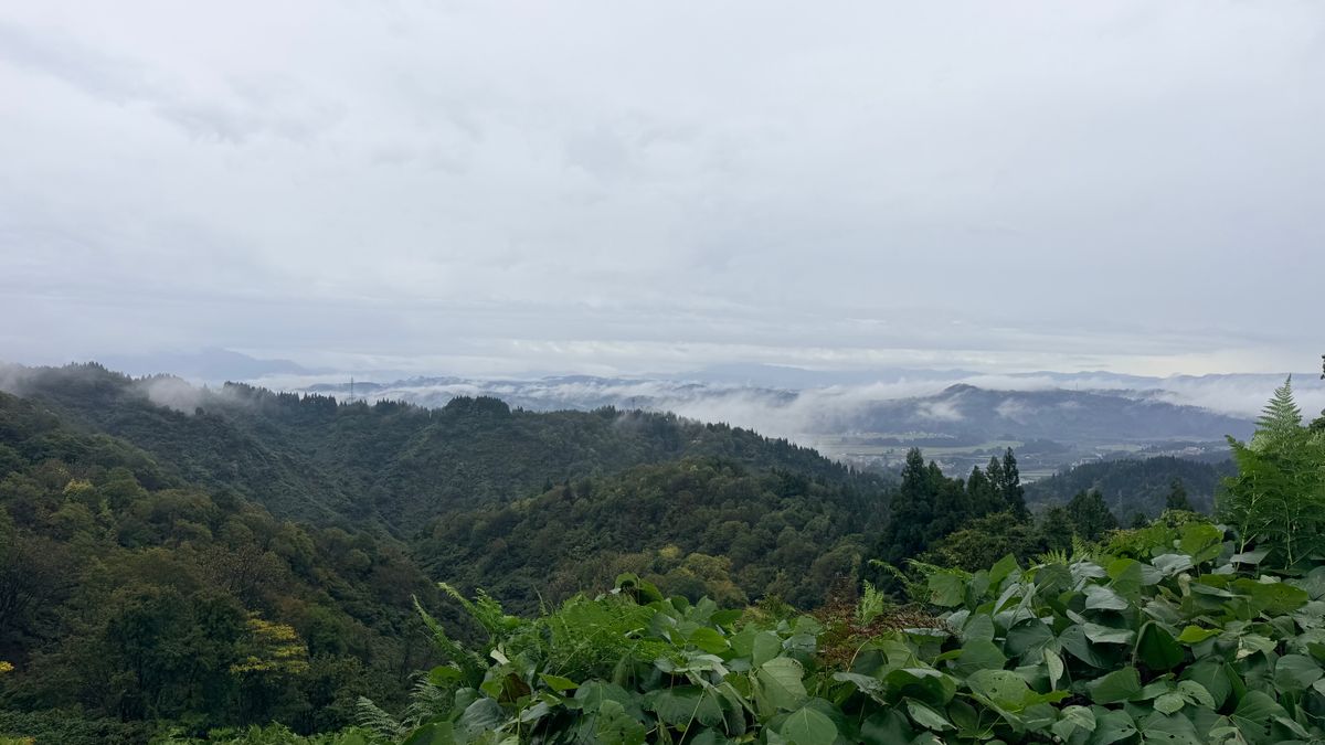 Mountain Games: Hoshikin Kohaku, gouden greep mislukt en vraag/aanbod, foto 18