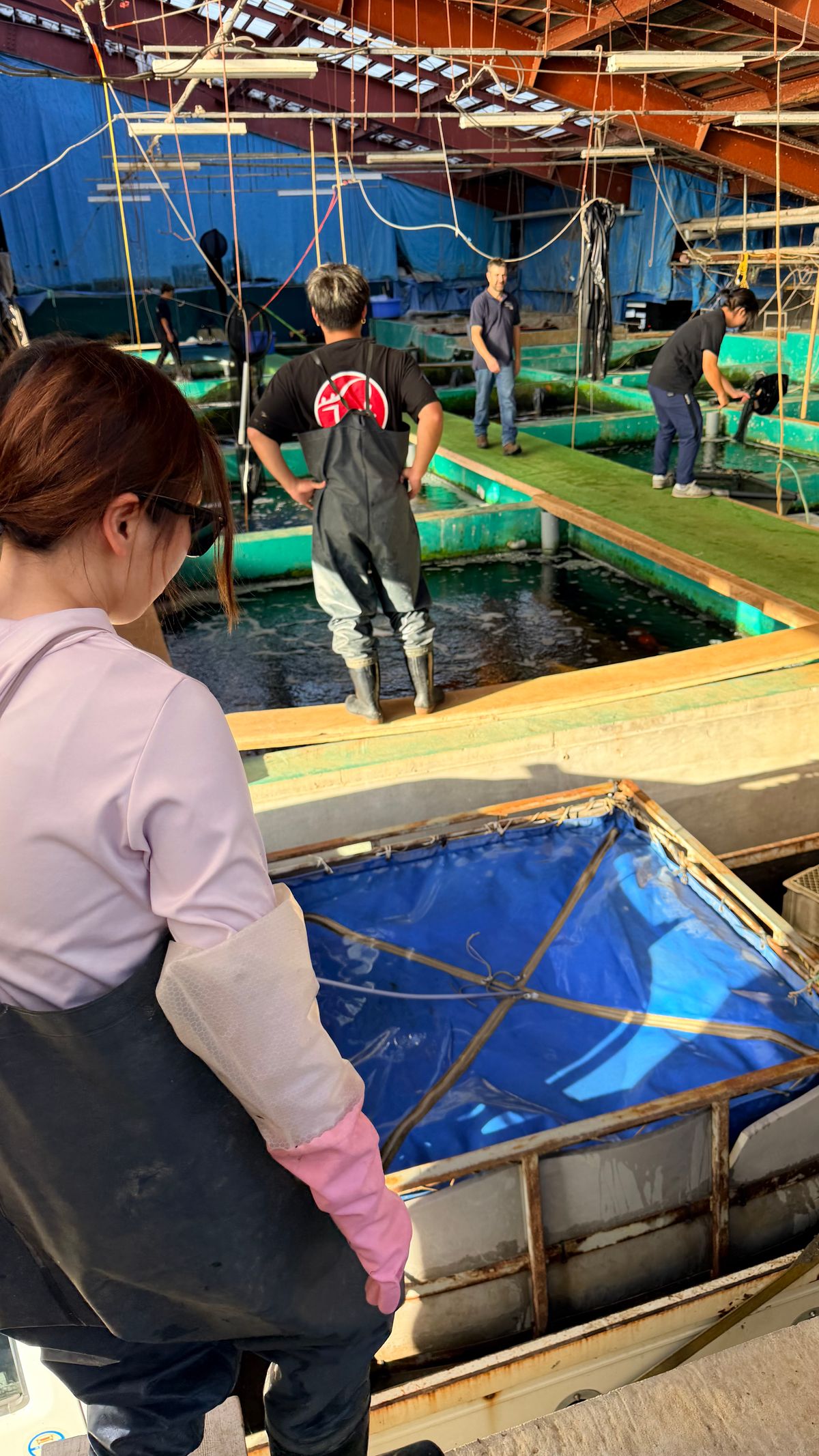 Harken bij Marusei en geluk bij Takatatsu en Aoki, foto 27