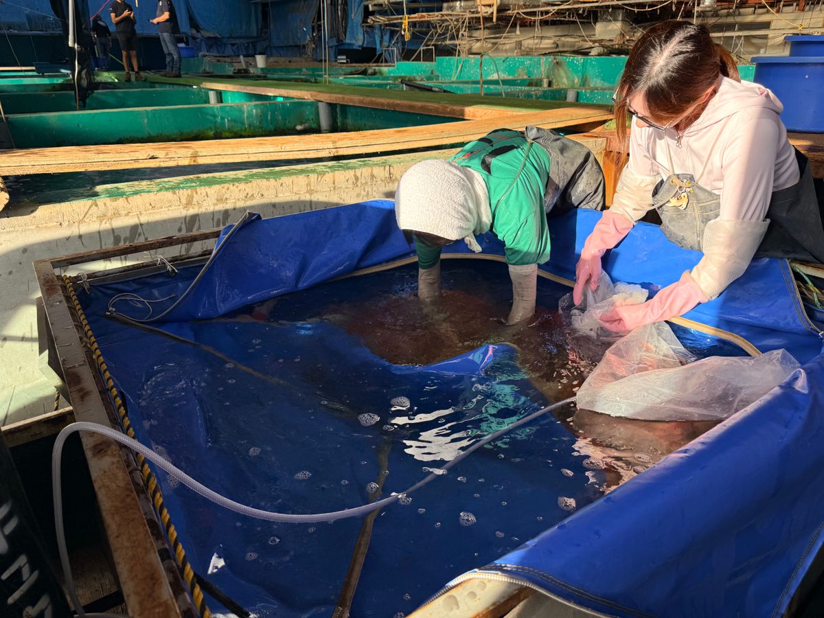 Harken bij Marusei en geluk bij Takatatsu en Aoki, foto 30