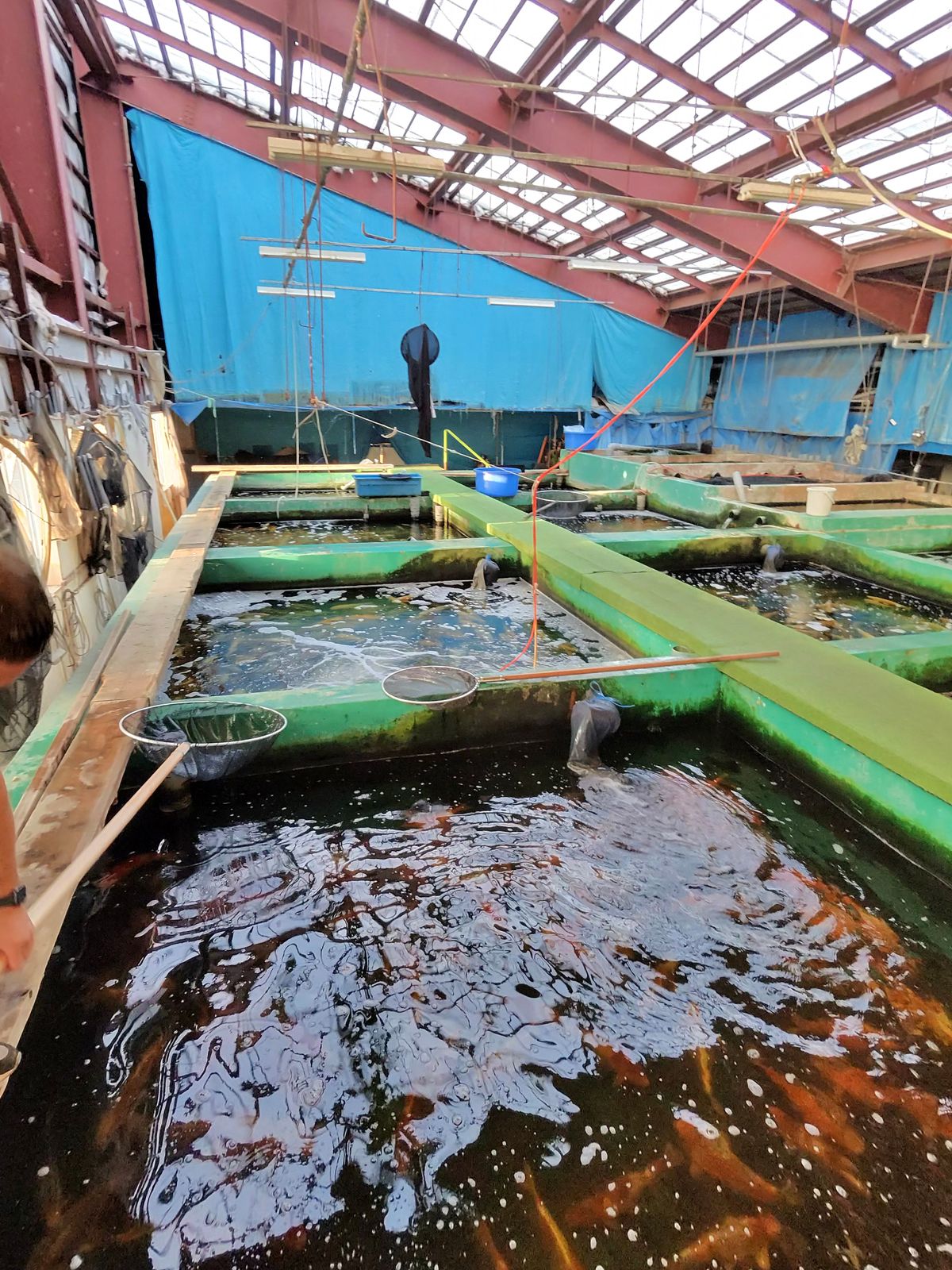 Harken bij Marusei en geluk bij Takatatsu en Aoki, foto 34