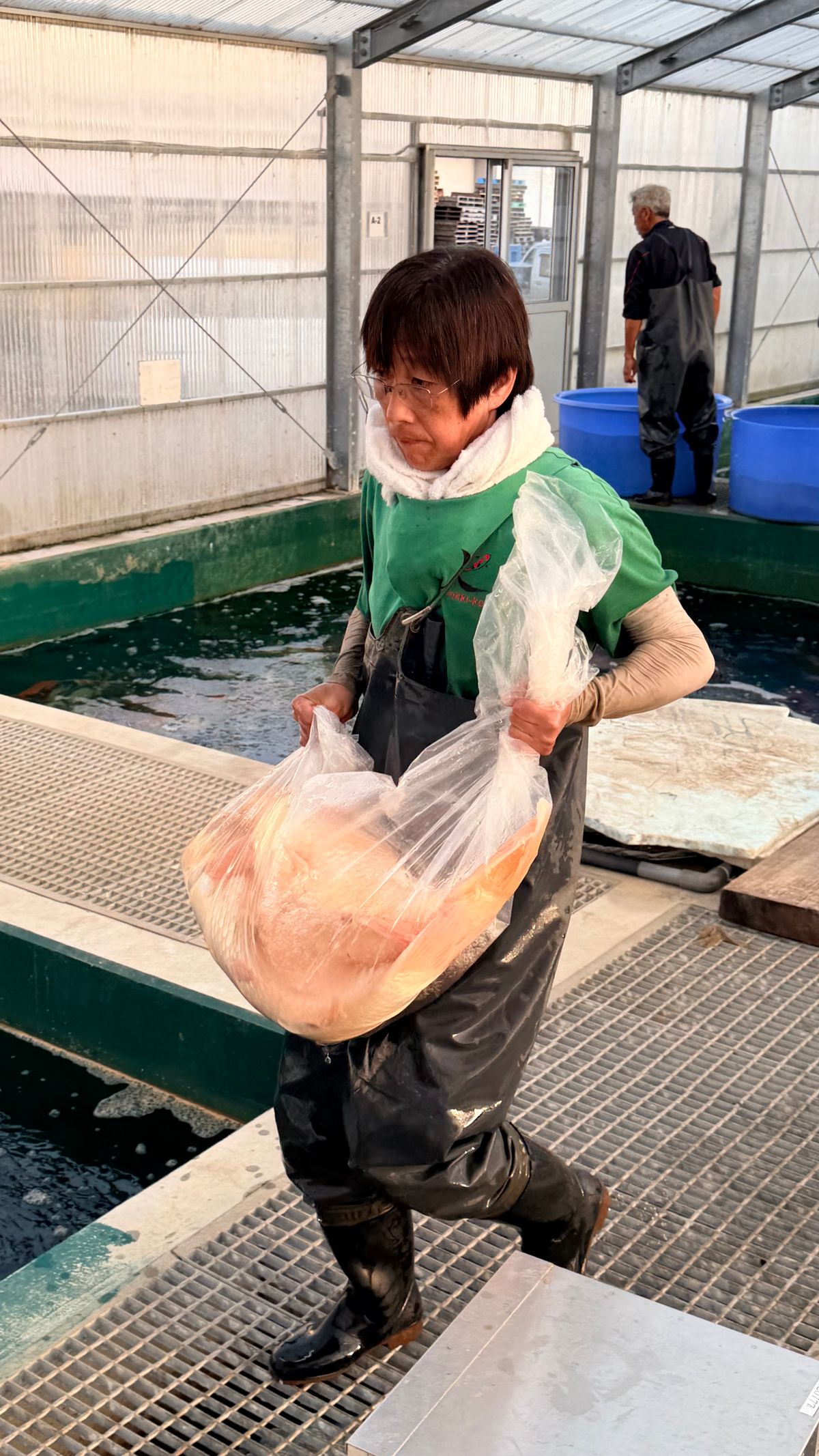 Harken bij Marusei en geluk bij Takatatsu en Aoki, foto 36