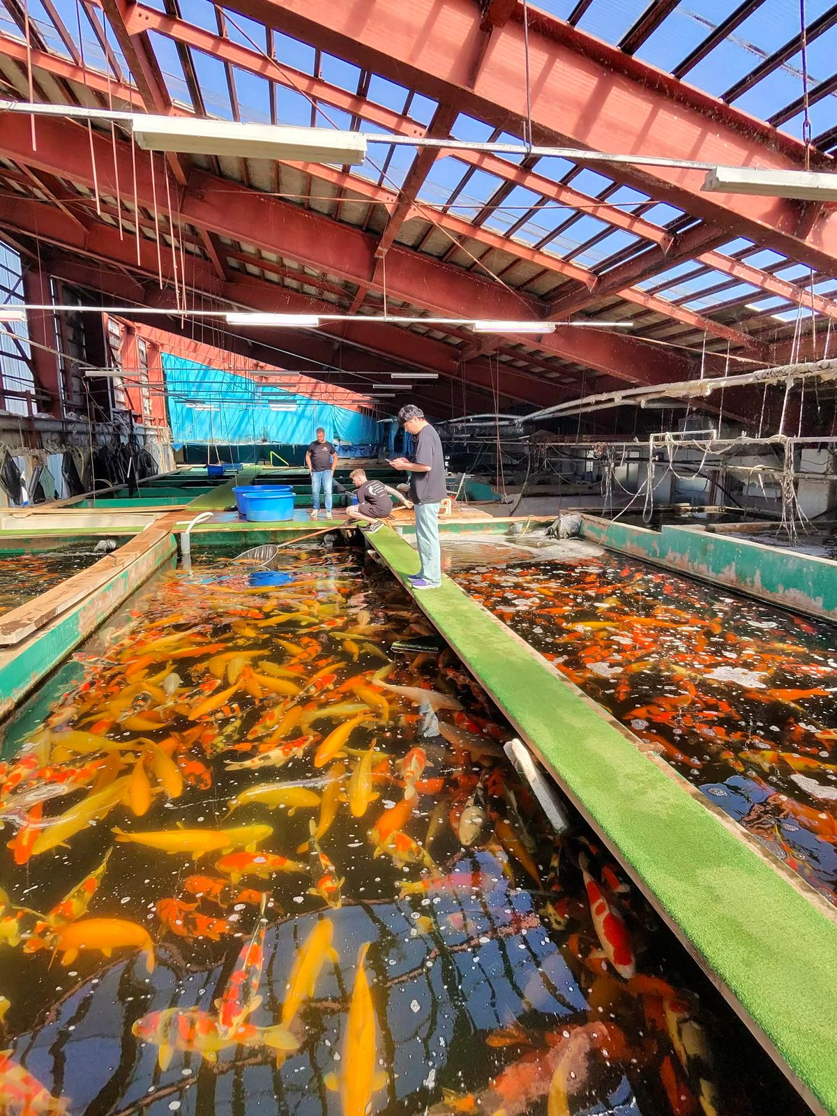Harken bij Marusei en geluk bij Takatatsu en Aoki, foto 5