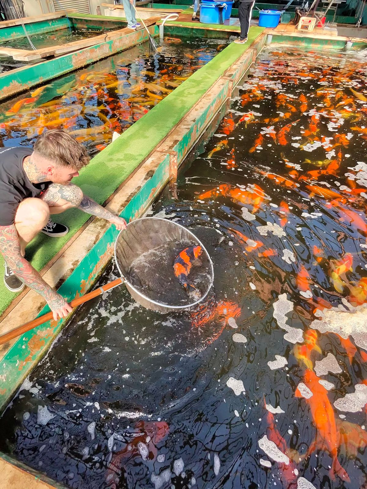 Harken bij Marusei en geluk bij Takatatsu en Aoki, foto 6