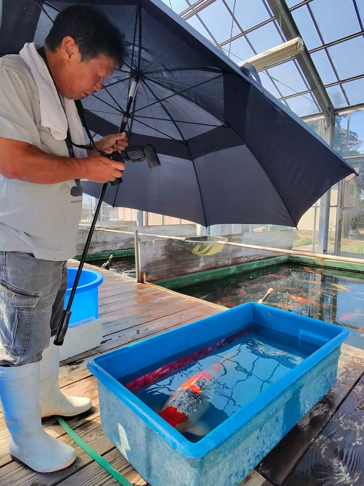 Doitsu Sanke, een top-Showa bij Yoshino en plots een aardbevingsalarm, foto 11