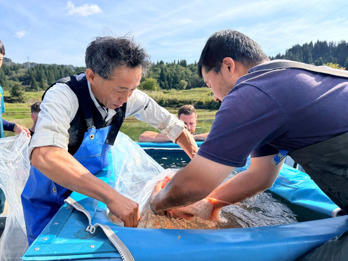 Doitsu Sanke, een top-Showa bij Yoshino en plots een aardbevingsalarm, foto 16
