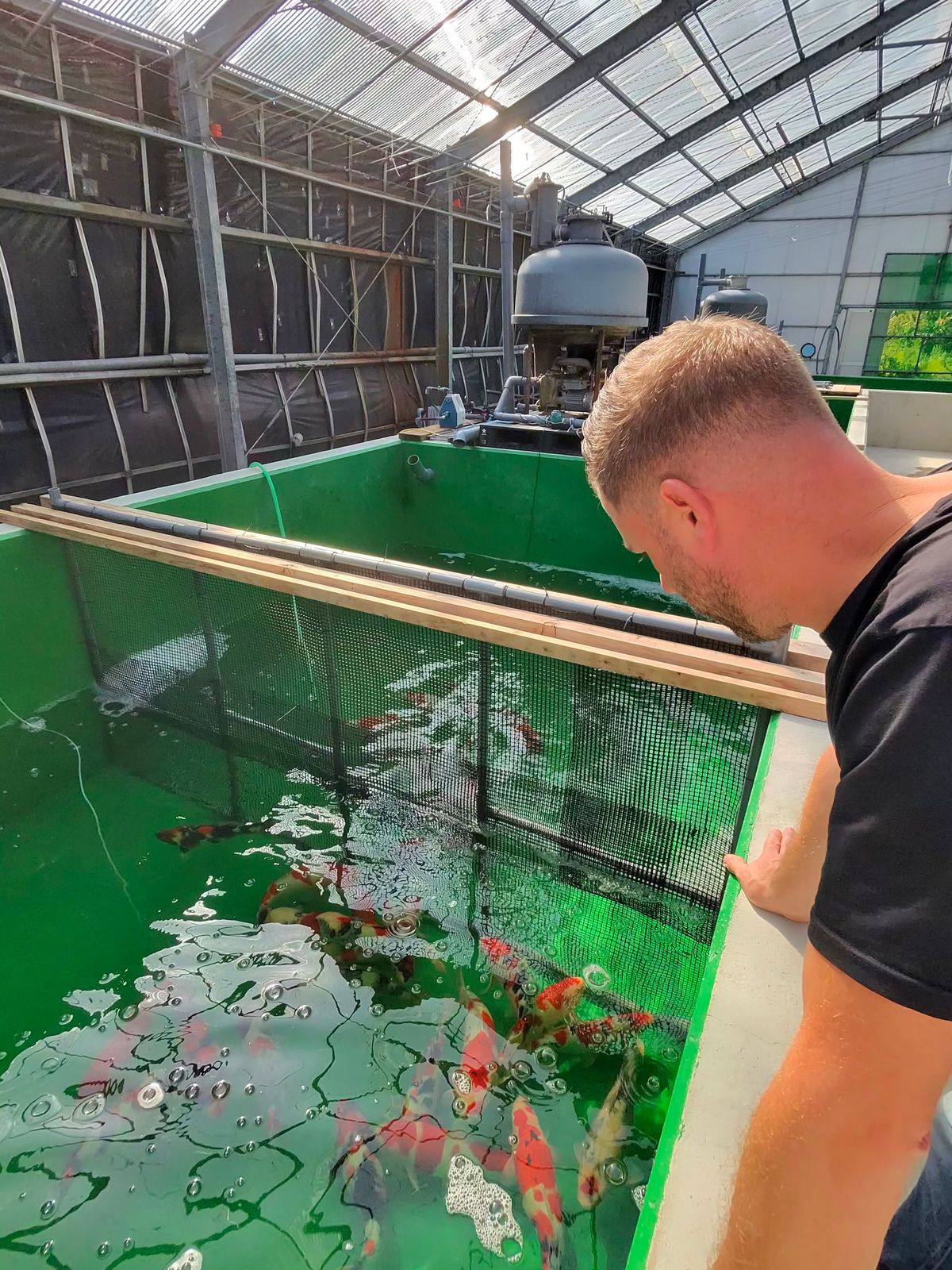 Doitsu Sanke, een top-Showa bij Yoshino en plots een aardbevingsalarm, foto 30