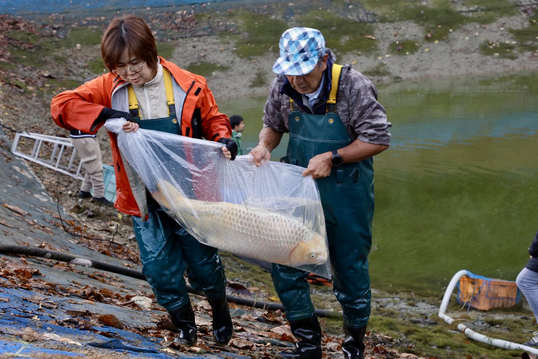 Een ochtend vol mist; modder en magie: De Ikeage van mijn Miyatora Azukari, foto 10