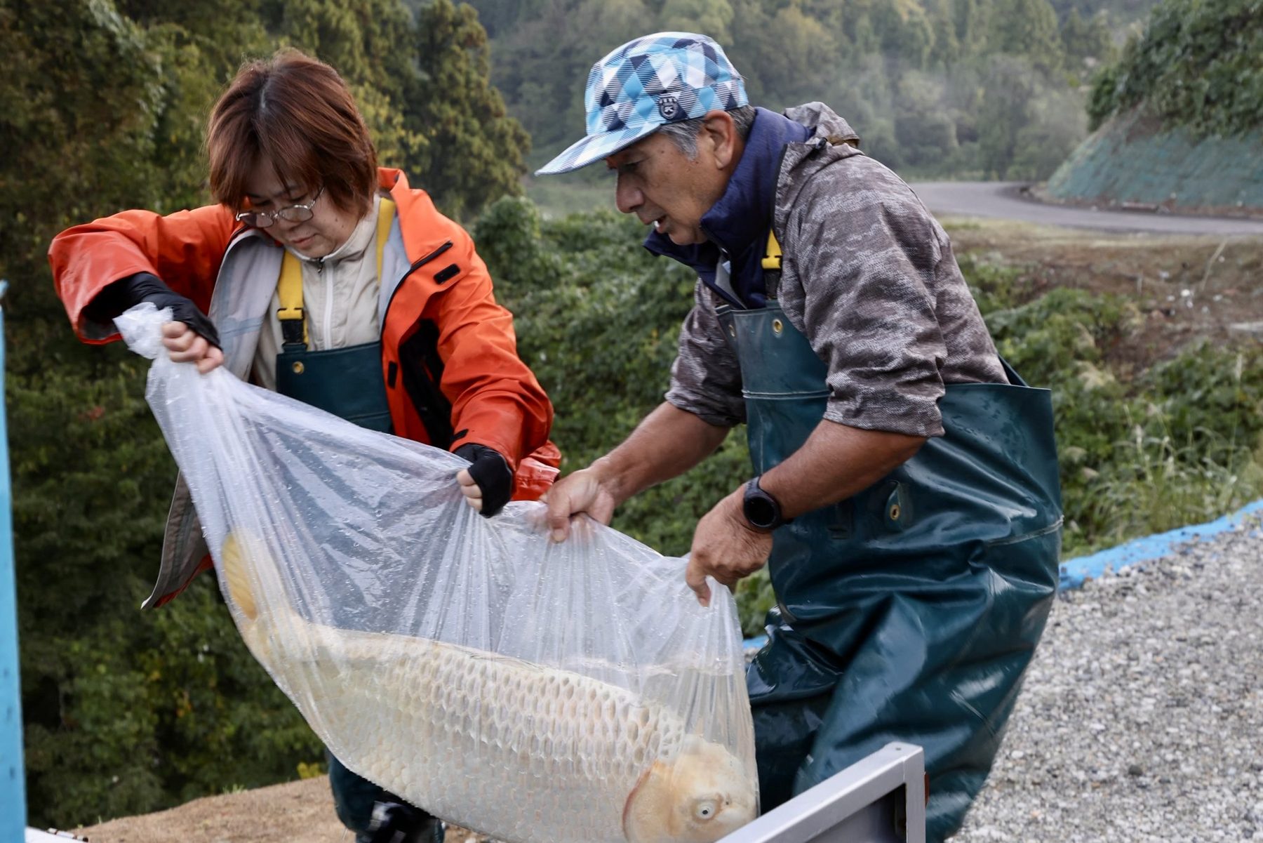 Een ochtend vol mist; modder en magie: De Ikeage van mijn Miyatora Azukari, foto 11
