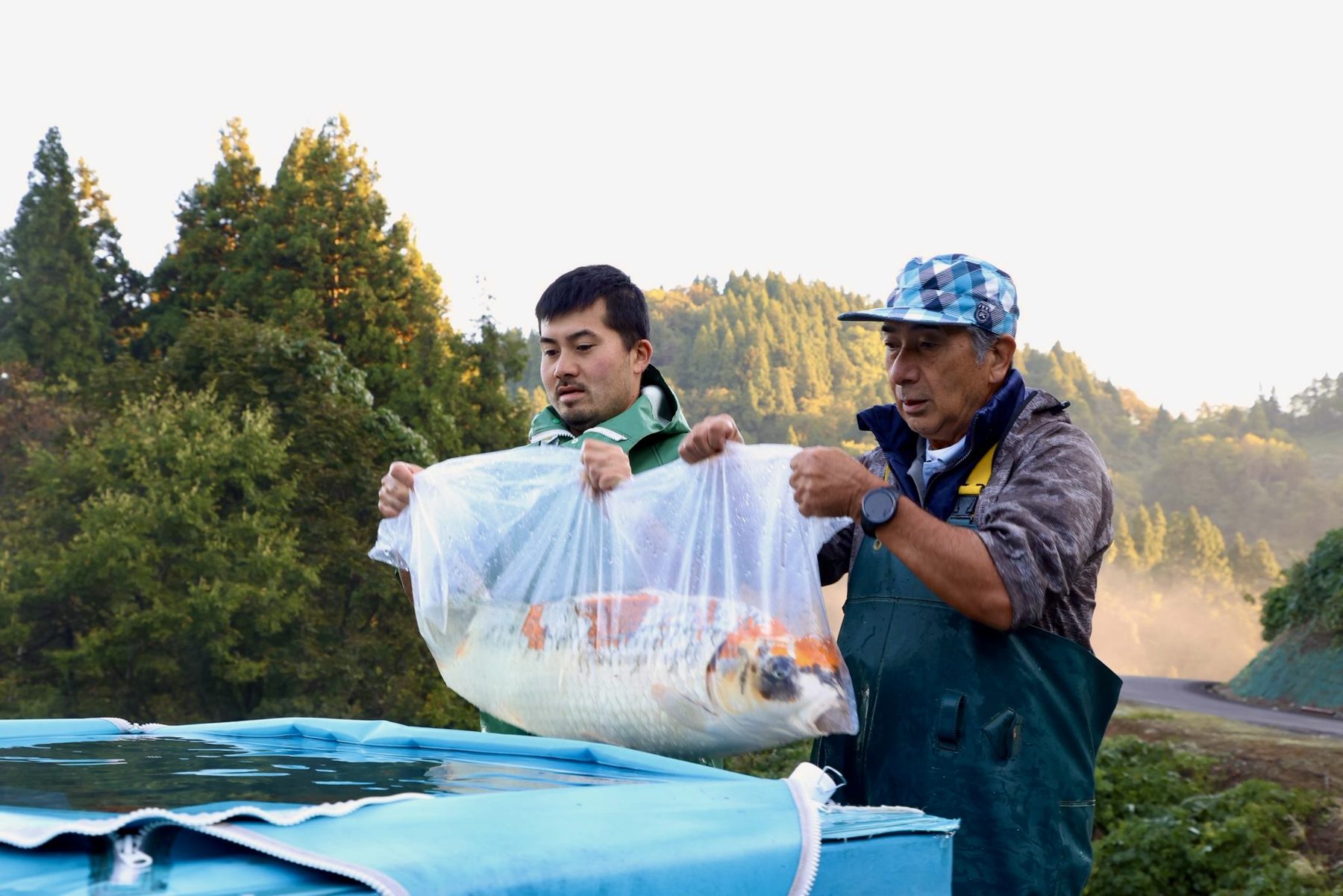 Een ochtend vol mist; modder en magie: De Ikeage van mijn Miyatora Azukari, foto 16