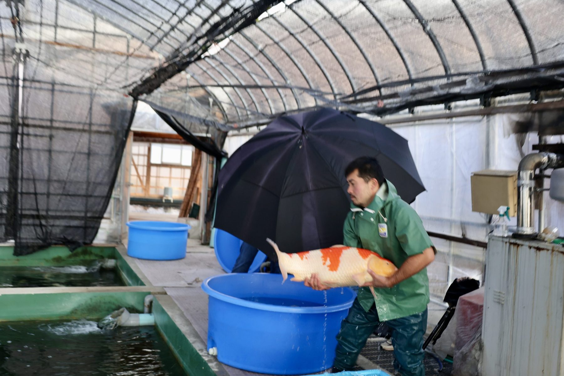 Een ochtend vol mist; modder en magie: De Ikeage van mijn Miyatora Azukari, foto 33