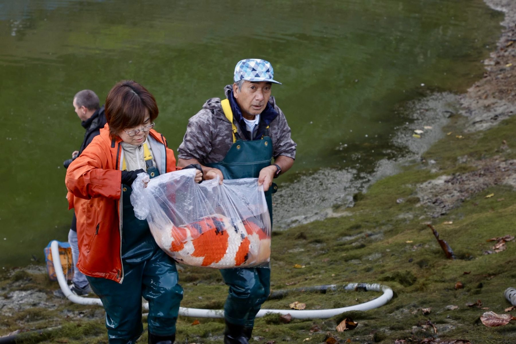 Een ochtend vol mist; modder en magie: De Ikeage van mijn Miyatora Azukari, foto 7