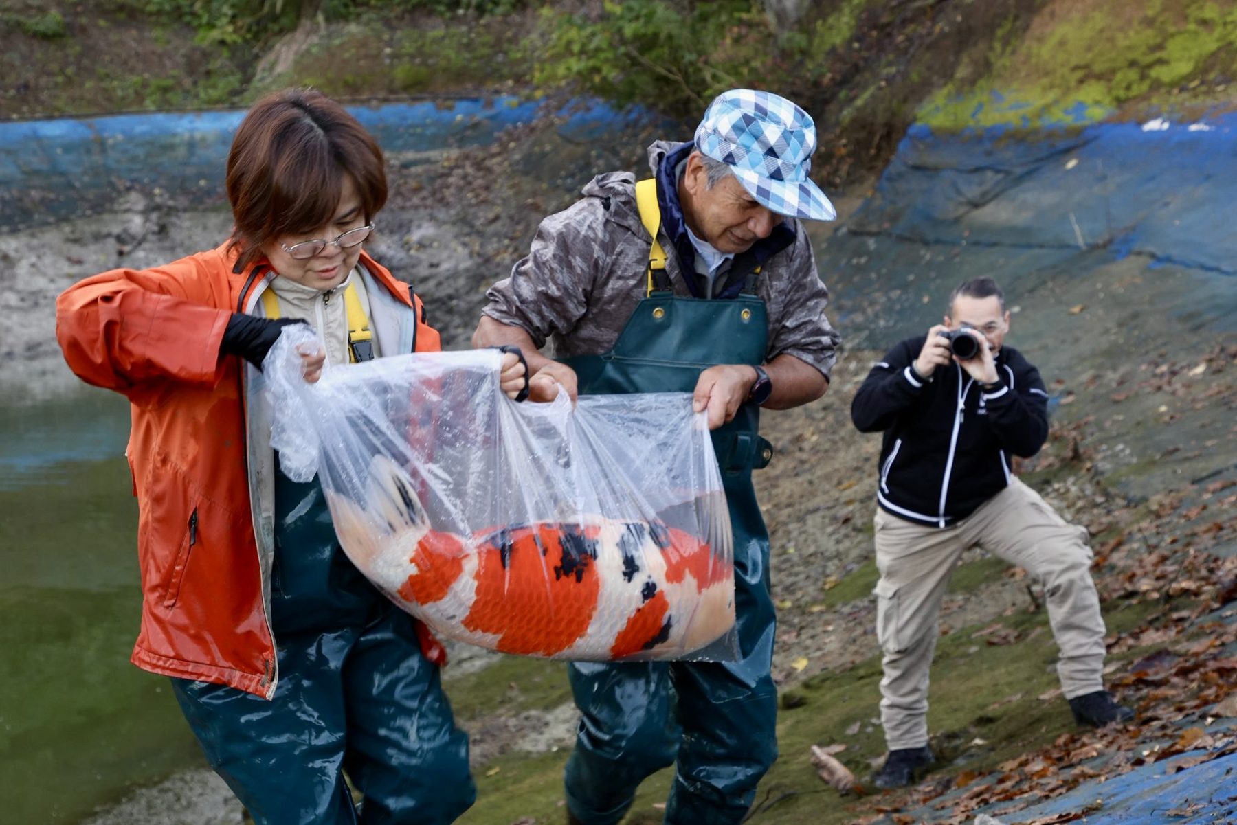 Een ochtend vol mist; modder en magie: De Ikeage van mijn Miyatora Azukari, foto 8